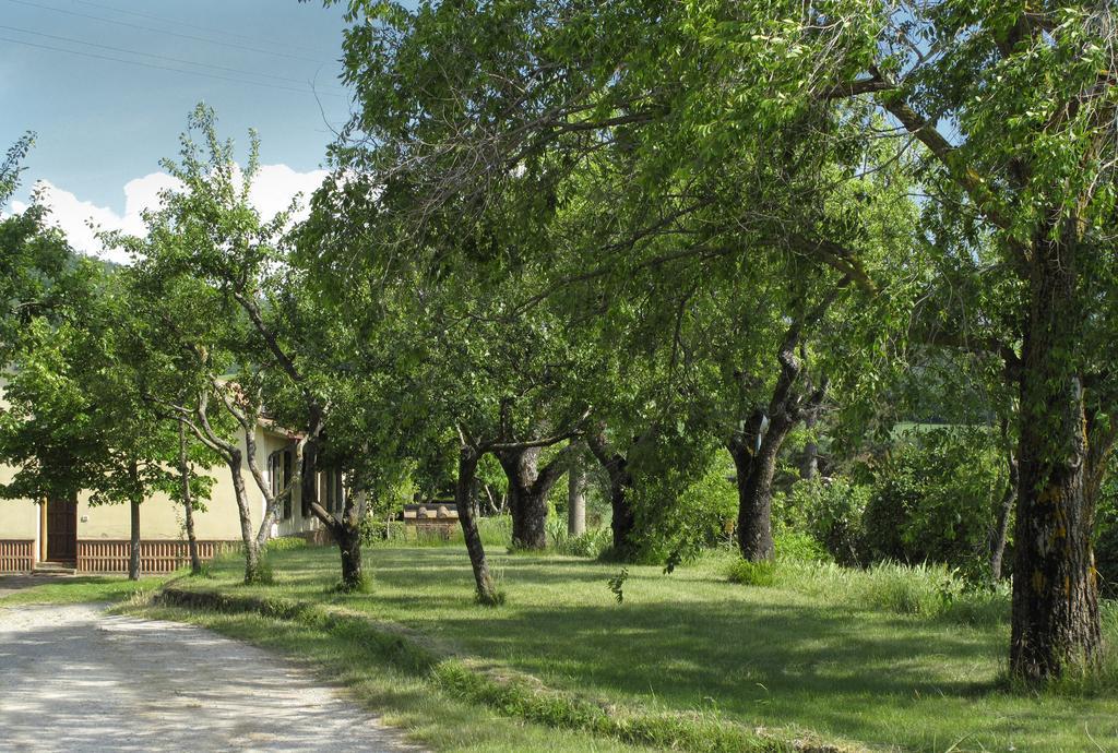Agriturismo Il Casalone Montepulciano Stazione エクステリア 写真